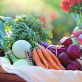 Vegetable basket