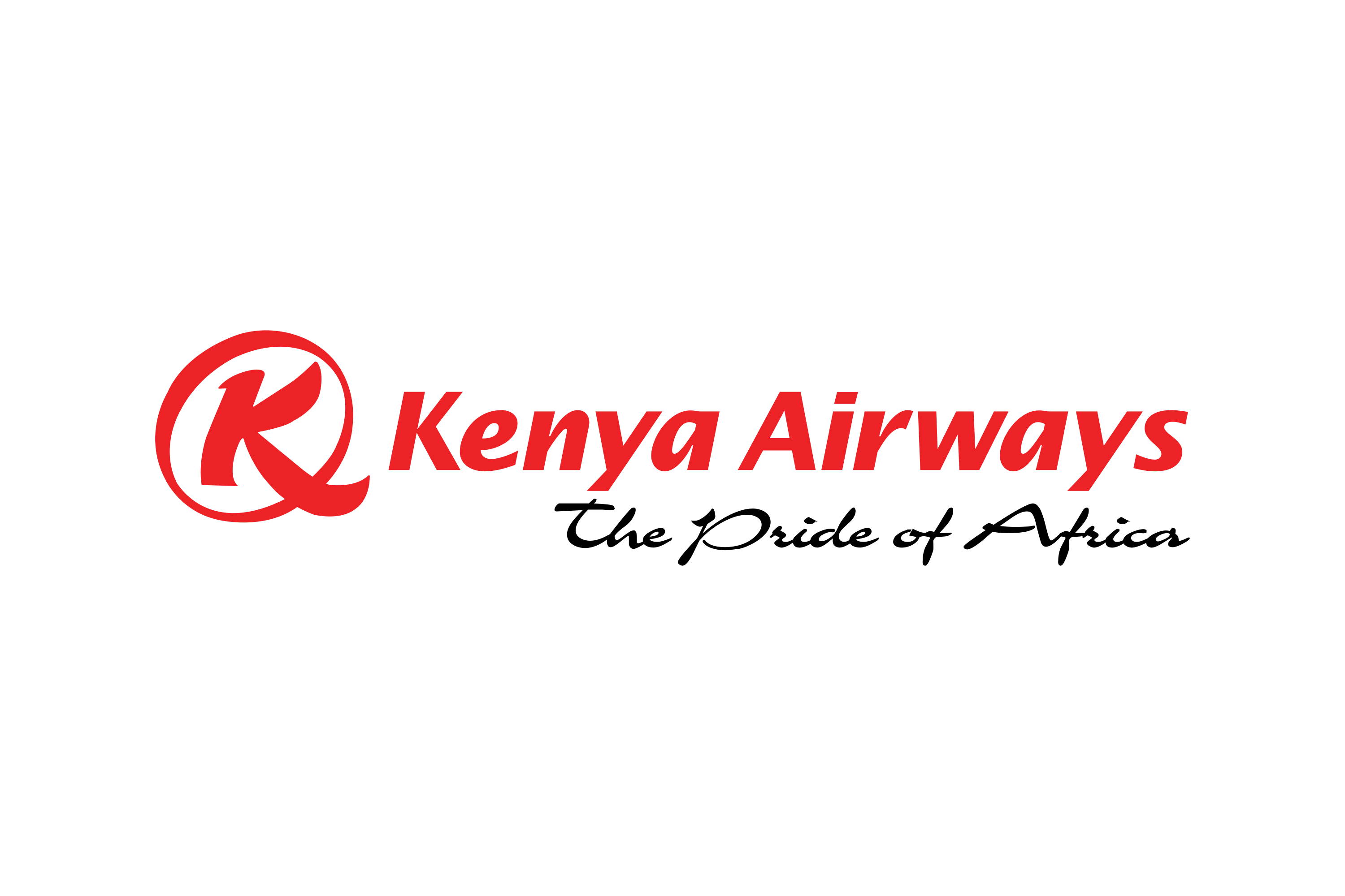 AIRLINE PARTNER