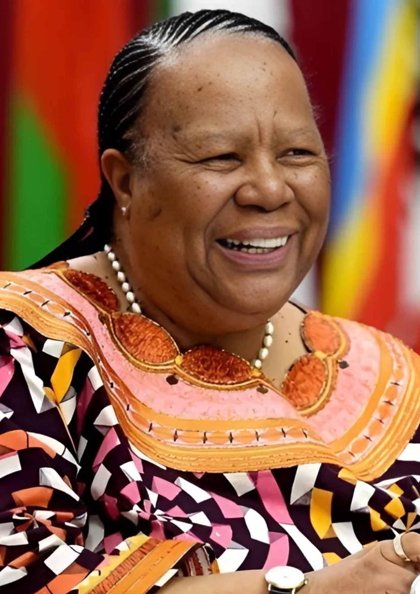 Dr Naledi Pandor
